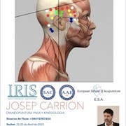Craneopuntura YNSA y Kinesiologia 