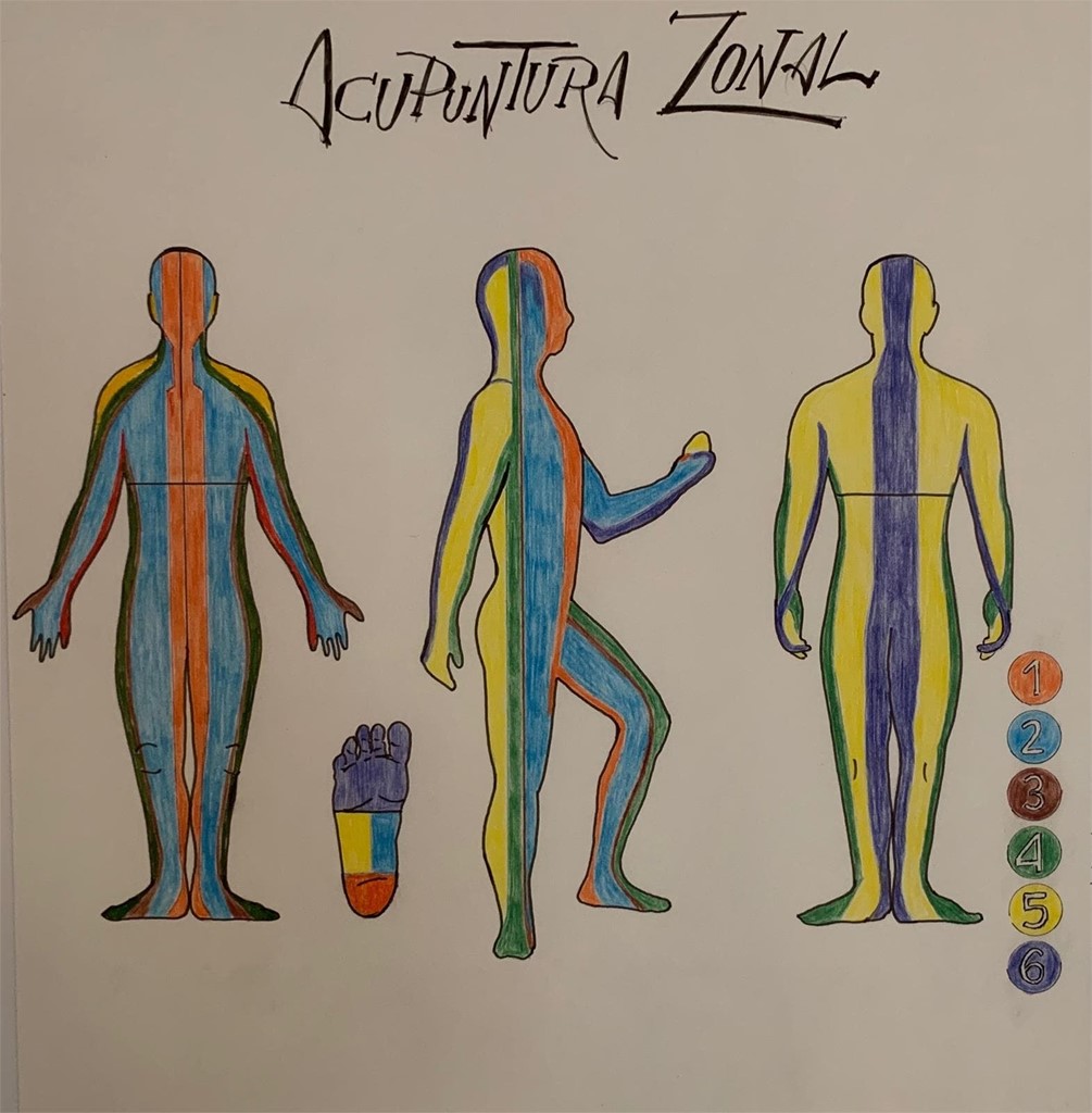 Formacion de Acupuntura Zonal octubre 2021