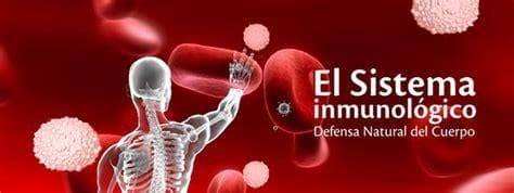 Importancia en esta época del año de la Acupuntura para reforzar el Sistema Inmunológico - Imagen 4