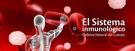 Importancia en esta época del año de la Acupuntura para reforzar el Sistema Inmunológico - Imagen 4