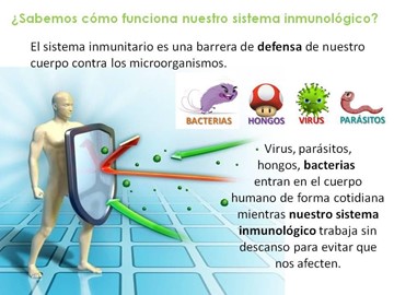 Importancia en esta época del año de la Acupuntura para reforzar el Sistema Inmunológico 